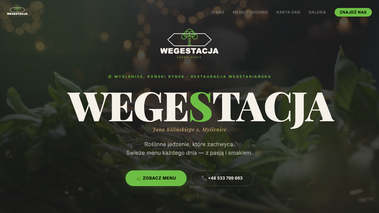 Wegestacja website preview
